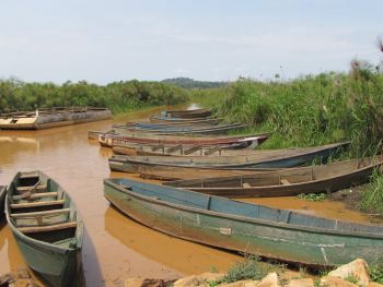 Mabamba swamp